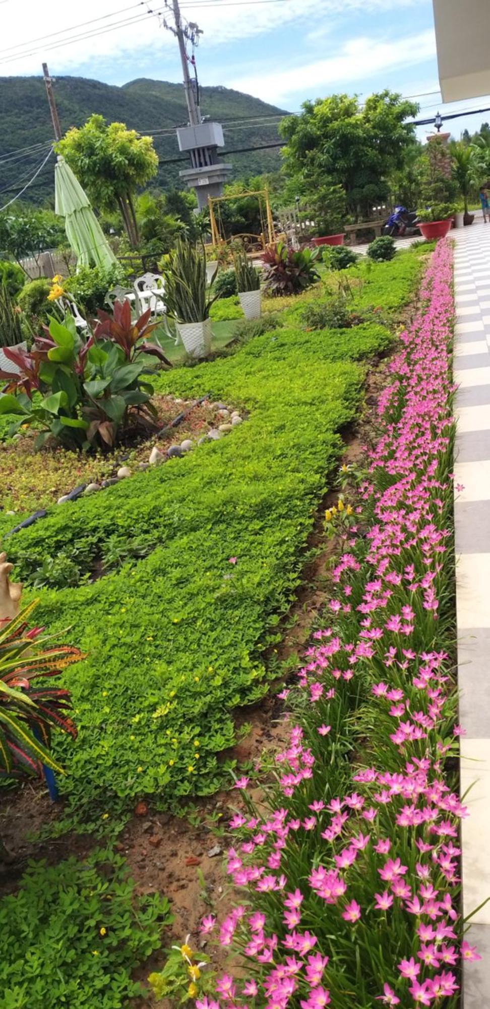 Garden House Con Dao Aparthotel Chi Khu Co Ong Exterior photo
